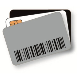 Tarjeta/badge RFID UHF Zebra NXPG2XM en PVC